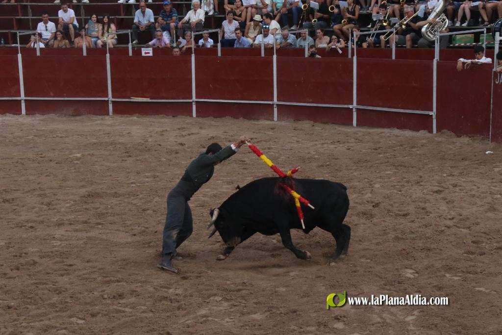 Debut con picadores del novillero alcorino Ian Bermejo en la plaza de toros de Vilafranca el 1 de agosto
