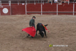 Debut con picadores del novillero alcorino Ian Bermejo en la plaza de toros de Vilafranca el 1 de agosto