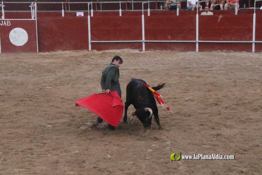 Debut con picadores del novillero alcorino Ian Bermejo en la plaza de toros de Vilafranca el 1 de agosto