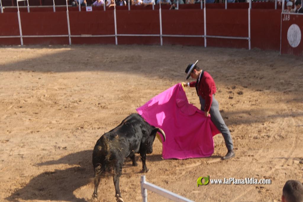 Debut con picadores del novillero alcorino Ian Bermejo en la plaza de toros de Vilafranca el 1 de agosto