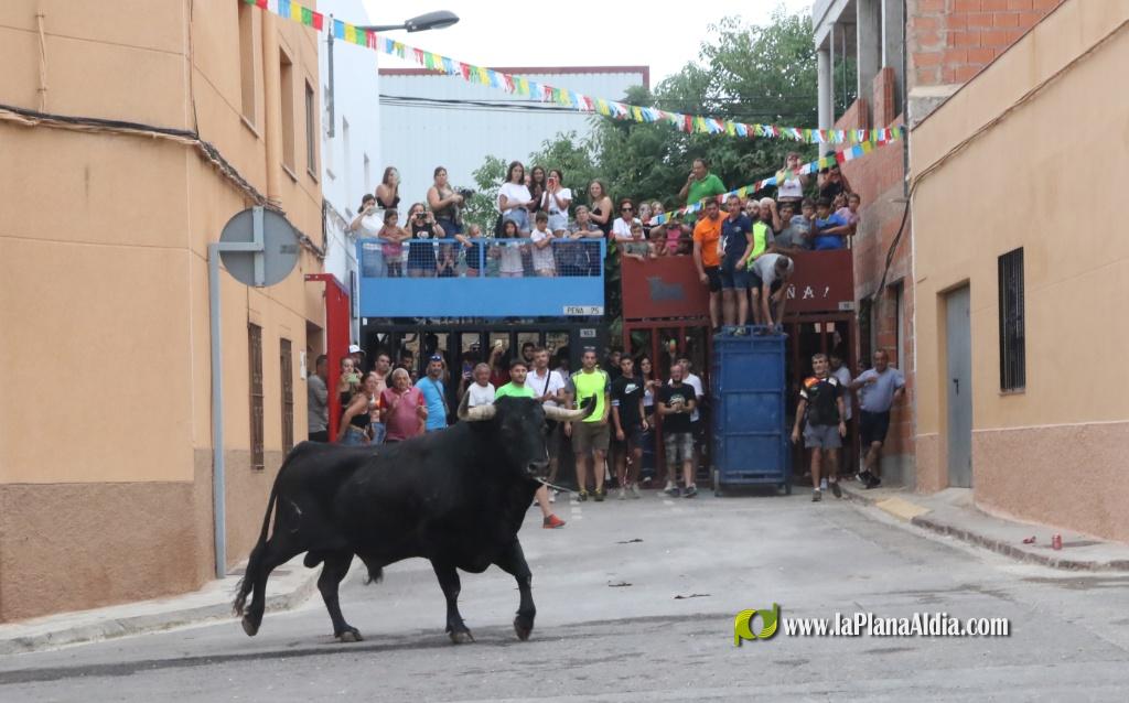 Terminan unas concurridas Fiestas del Barrio del Campo de F�tbol en honor a San Jaime