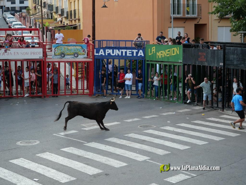 Terminan unas concurridas Fiestas del Barrio del Campo de F�tbol en honor a San Jaime