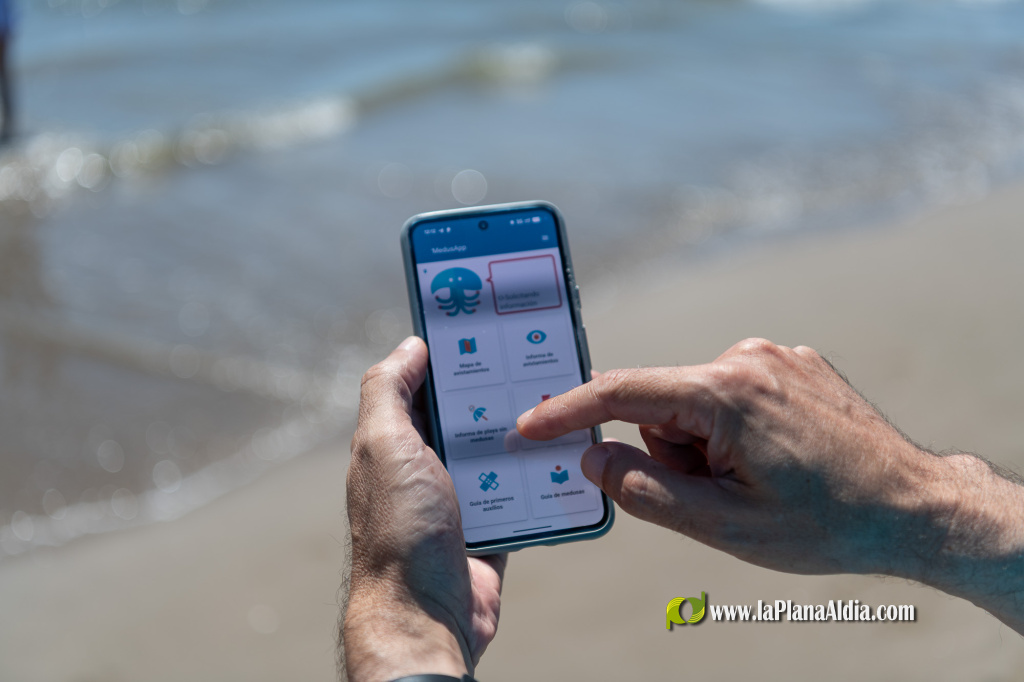 La Universidad de Alicante presenta MedusApp, un mapa interactivo para monitorizar la distribución de medusas