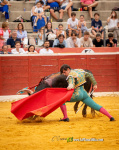 Ian Bermejo triunfa en su debut con picadores en Vilafranca y logra la espiga de plata de Calasparra