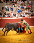 Ian Bermejo triunfa en su debut con picadores en Vilafranca y logra la espiga de plata de Calasparra
