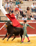Ian Bermejo triunfa en su debut con picadores en Vilafranca y logra la espiga de plata de Calasparra