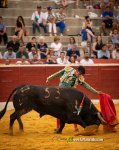 Ian Bermejo triunfa en su debut con picadores en Vilafranca y logra la espiga de plata de Calasparra