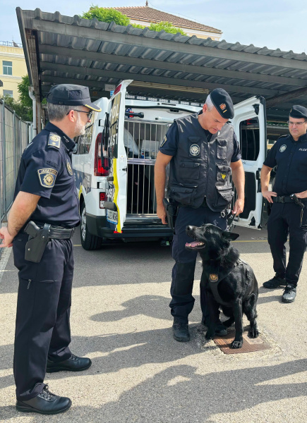 La Policía Local de Castellón detiene a un joven de 20 años por presunto delito contra la salud pública