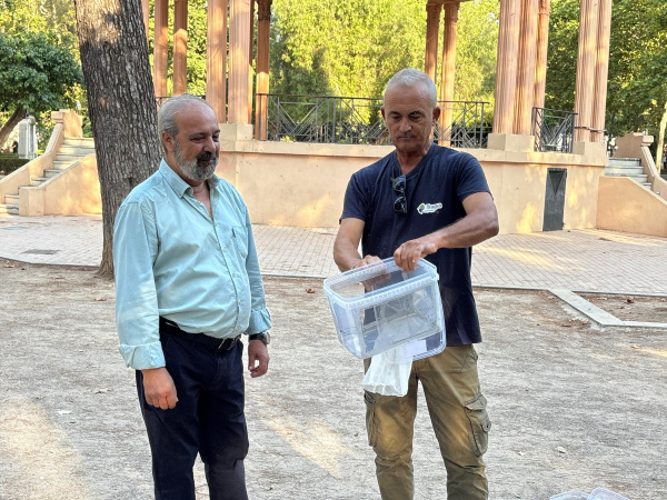 Castellón reitera la Técnica del Insecto Esteril para reforzar la lucha contra el mosquito tigre
