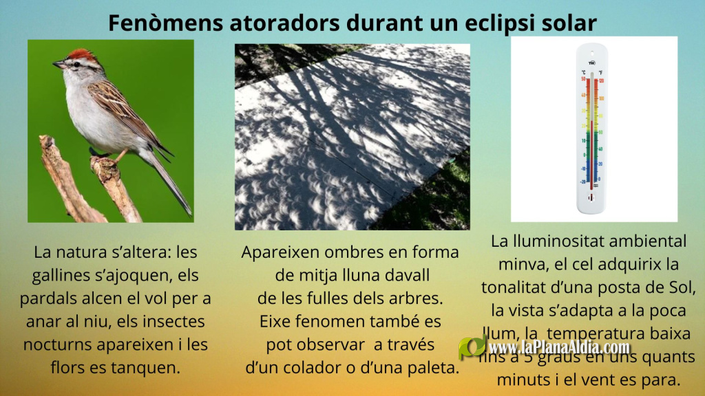 Eclipsi total de Sol del 12 d'agost de 2026: Borriana podria vore'l amb visibilitat clara