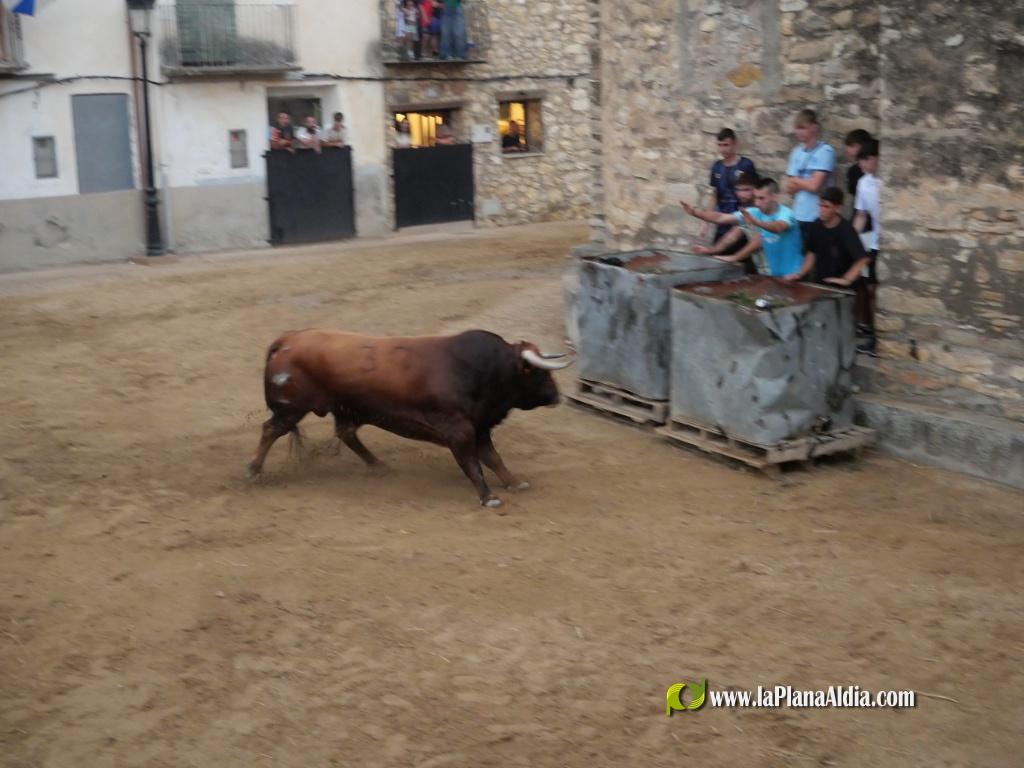 Concurridas Fiestas de Araya por el gran cartel taurino de las mismas