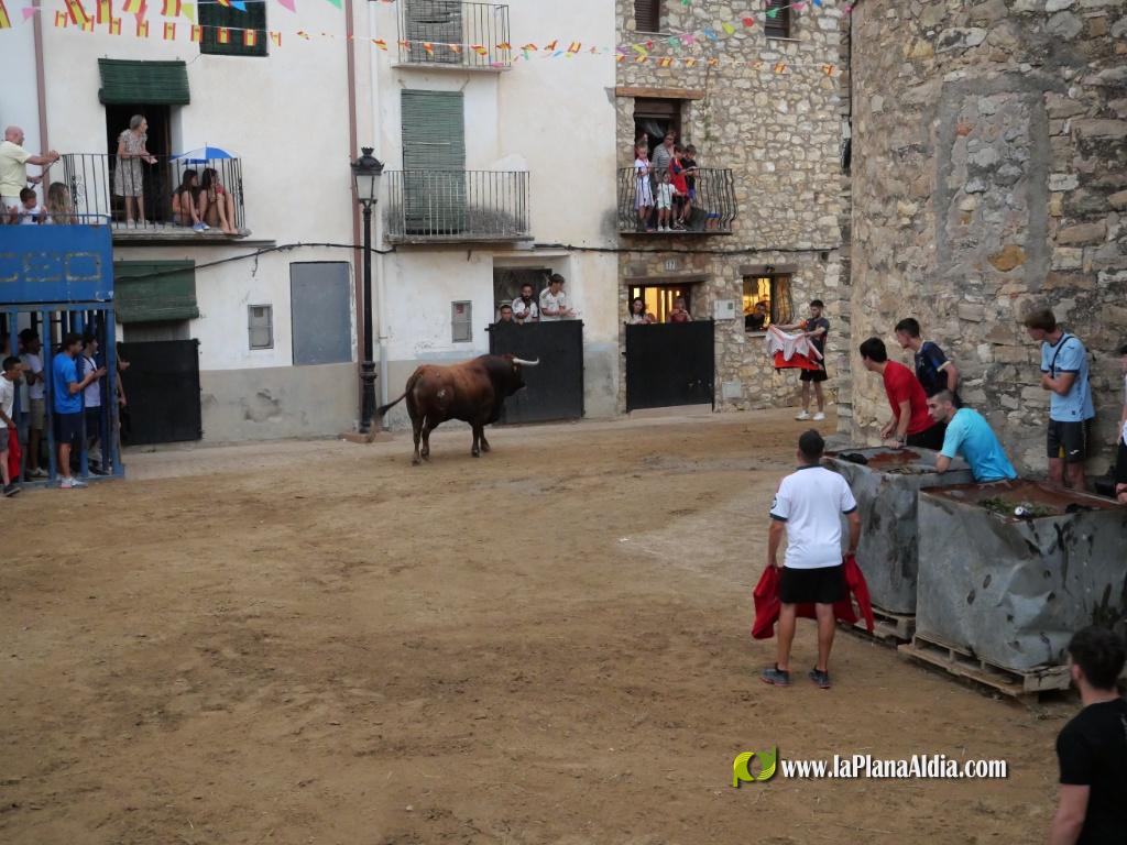 Concurridas Fiestas de Araya por el gran cartel taurino de las mismas