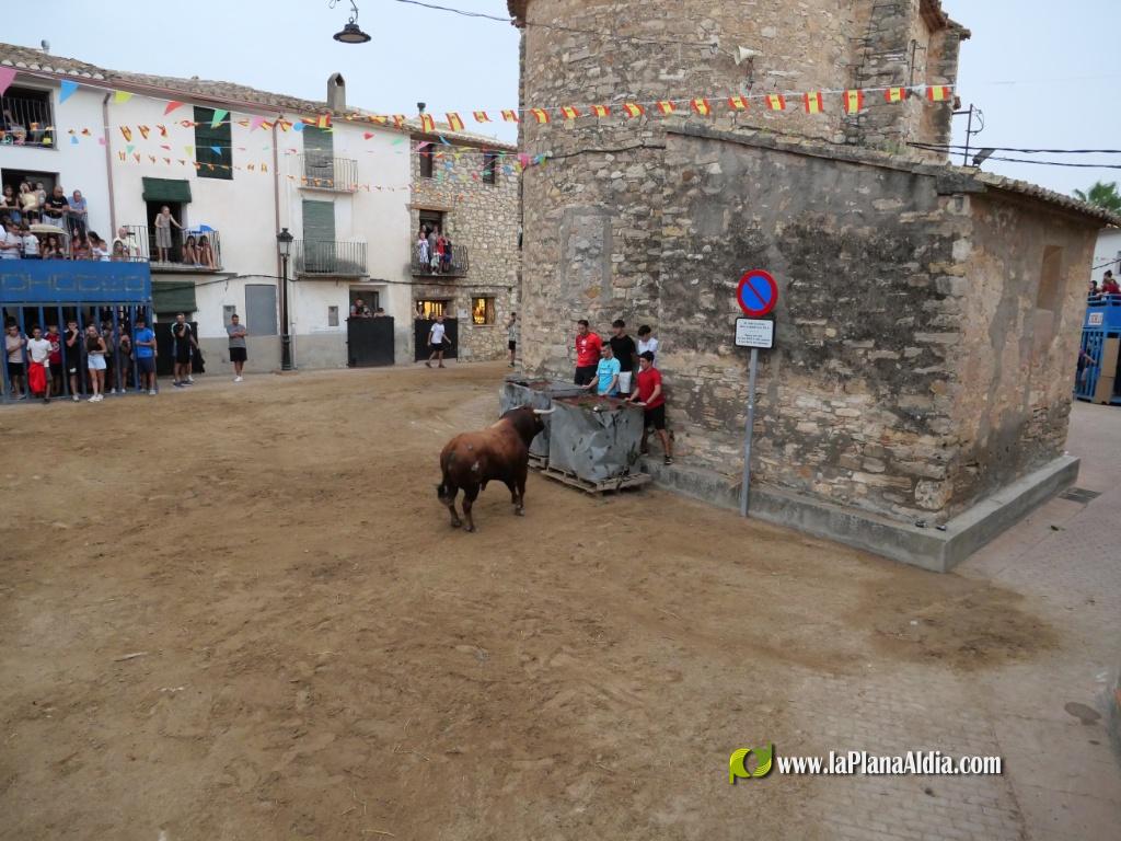 Concurridas Fiestas de Araya por el gran cartel taurino de las mismas