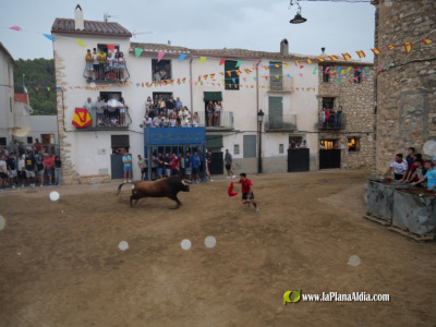 concurridas-fiestas-de-araya-por-el-gran-cartel-taurino-de-las-mismas