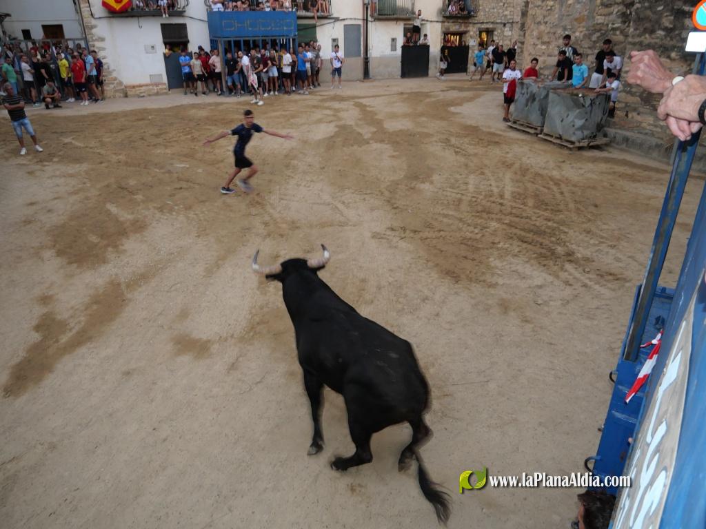 Concurridas Fiestas de Araya por el gran cartel taurino de las mismas