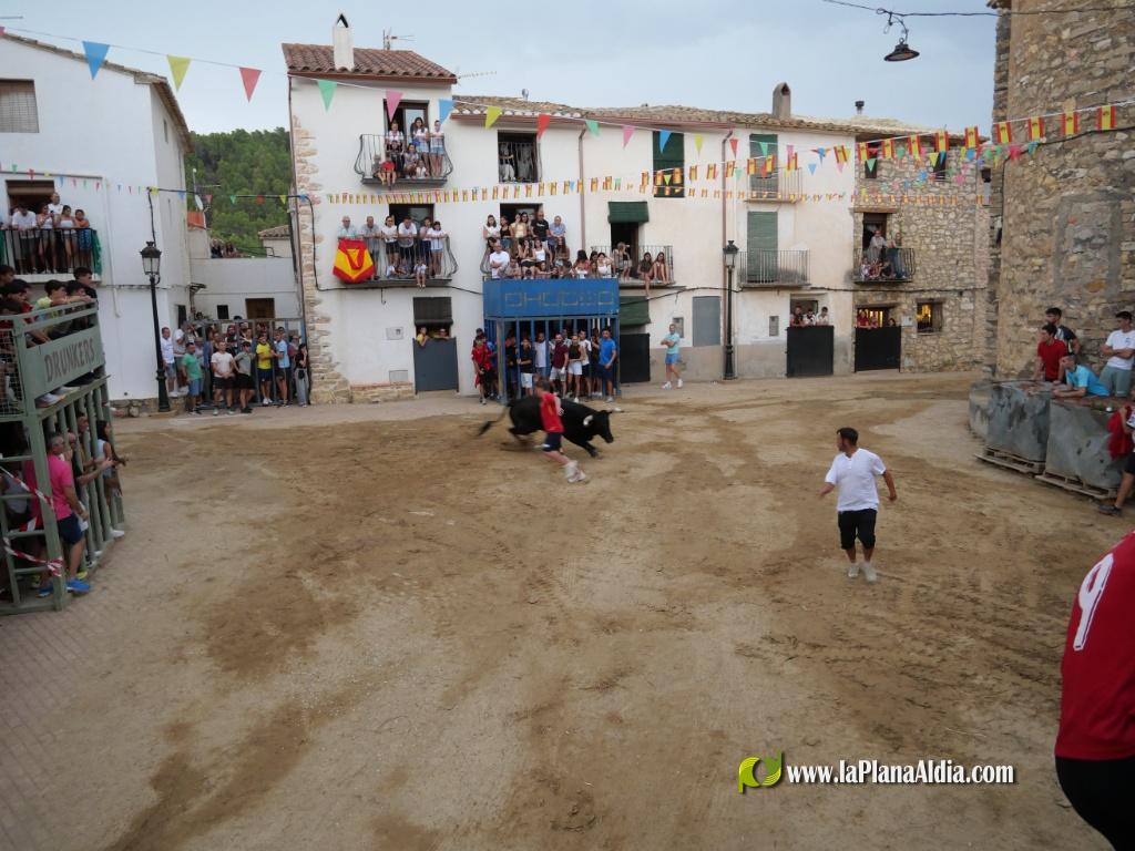 Concurridas Fiestas de Araya por el gran cartel taurino de las mismas