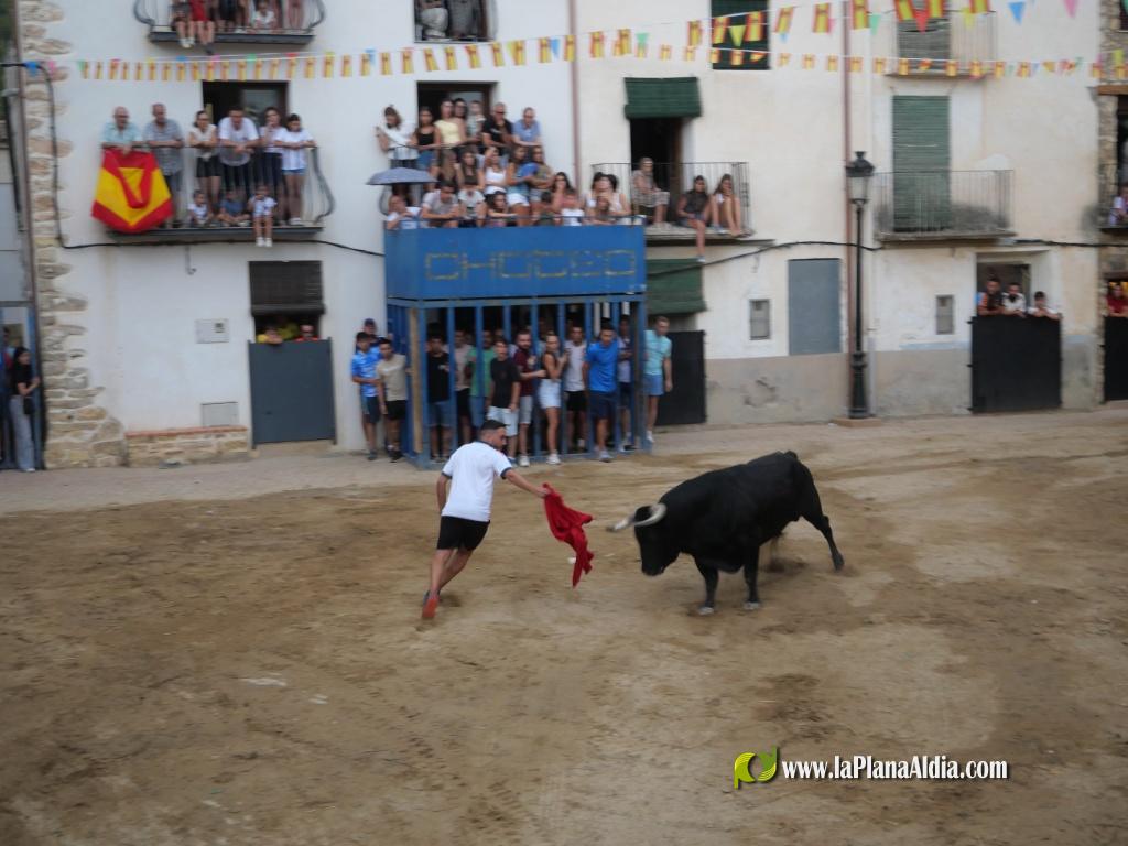 Concurridas Fiestas de Araya por el gran cartel taurino de las mismas