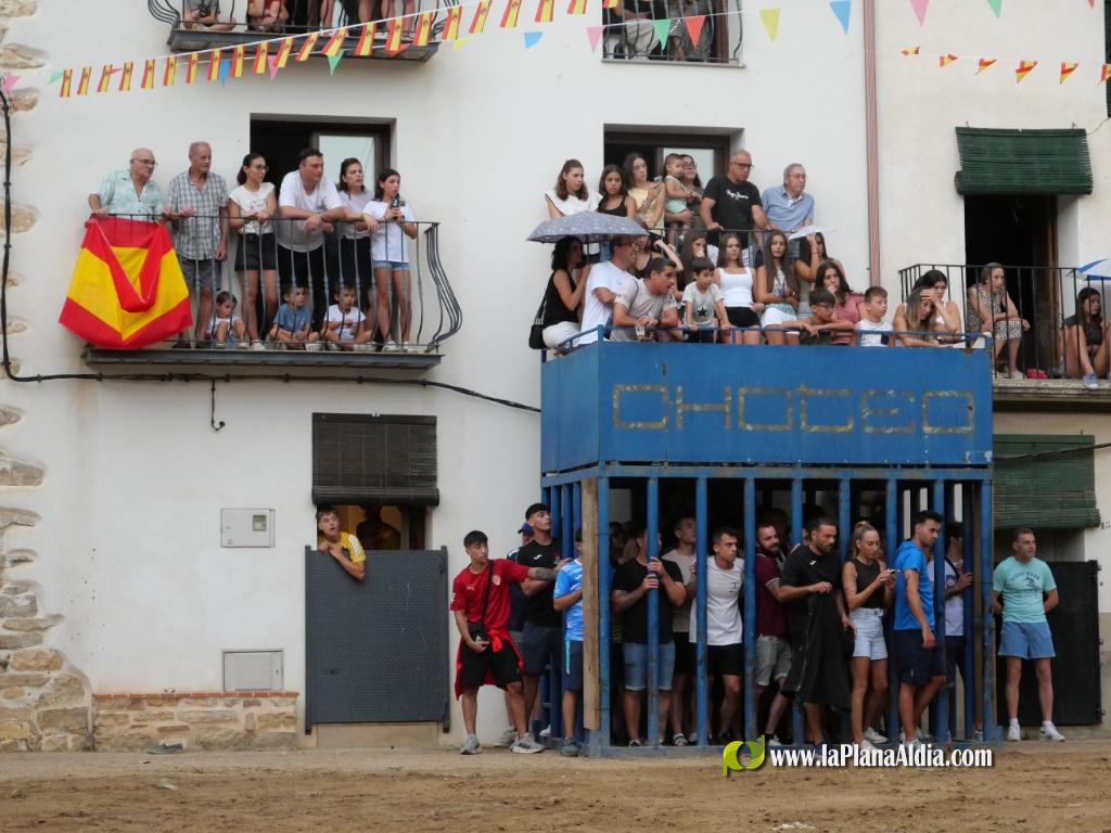Concurridas Fiestas de Araya por el gran cartel taurino de las mismas