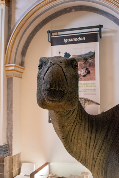 morella-halla-la-primera-evidencia-de-infeccion-bacteriana-en-un-dinosaurio-del-cretacico