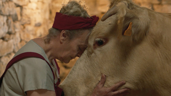 Cowgirl regresa a los Ports con una proyección especial en Morella