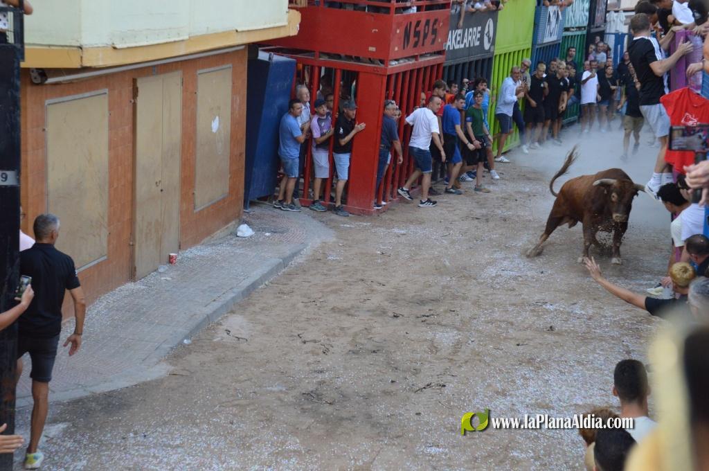 Inicio de la Semana Taurina de las Fiestas de Alcora y los homenajes