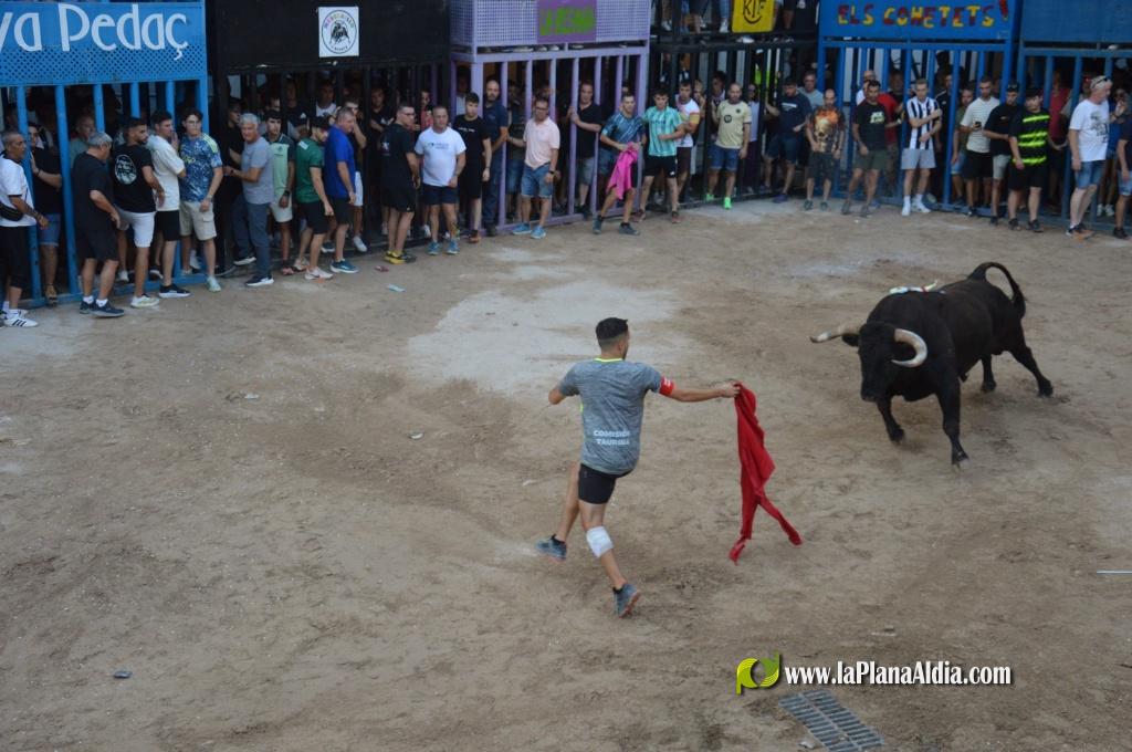 Inicio de la Semana Taurina de las Fiestas de Alcora y los homenajes