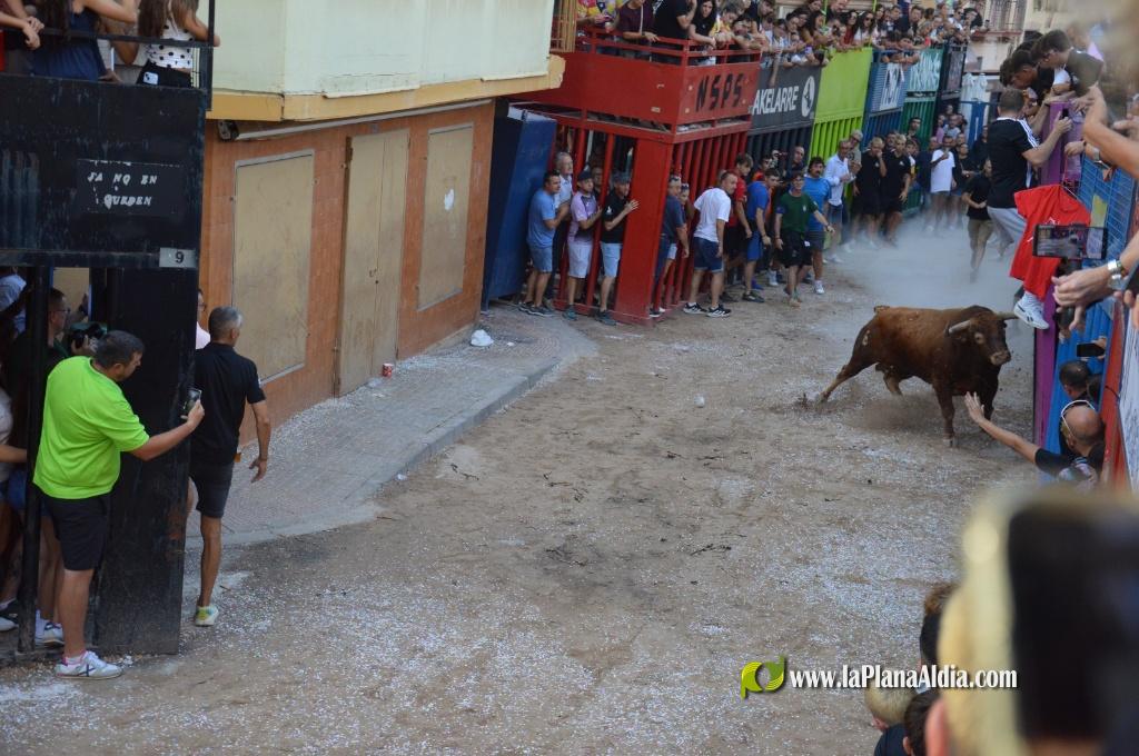 Inicio de la Semana Taurina de las Fiestas de Alcora y los homenajes