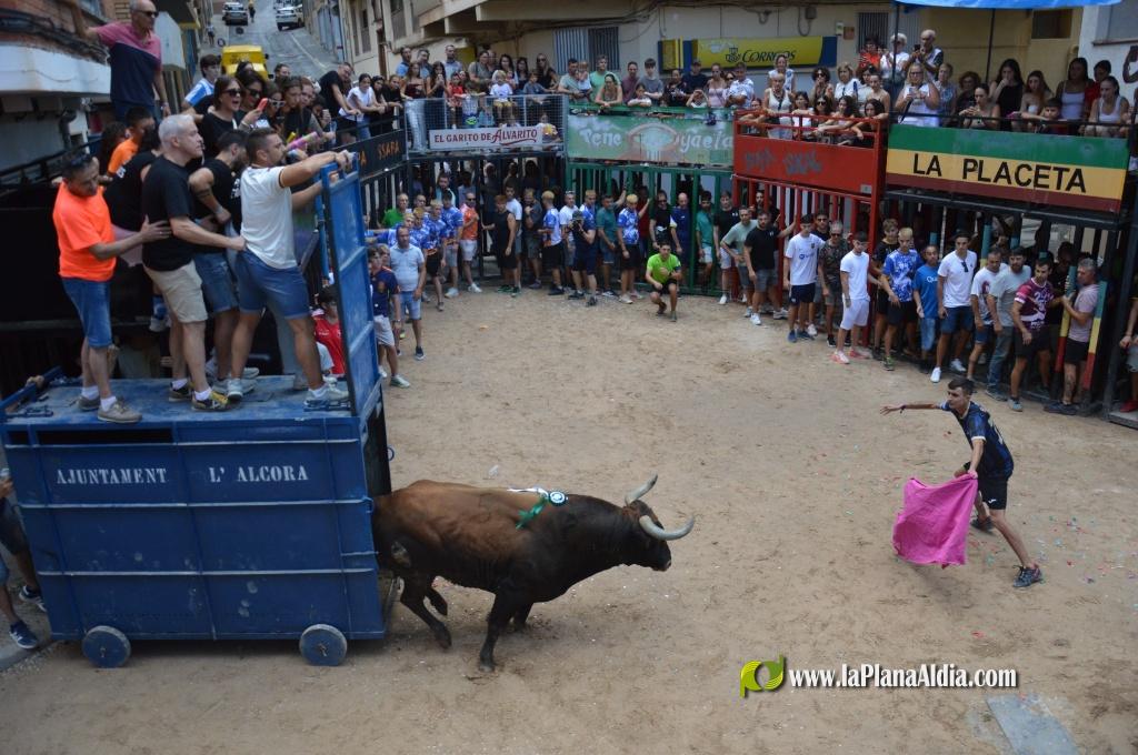 Las Pe�as Taurinas, admirable compromiso con las fiestas de Alcora