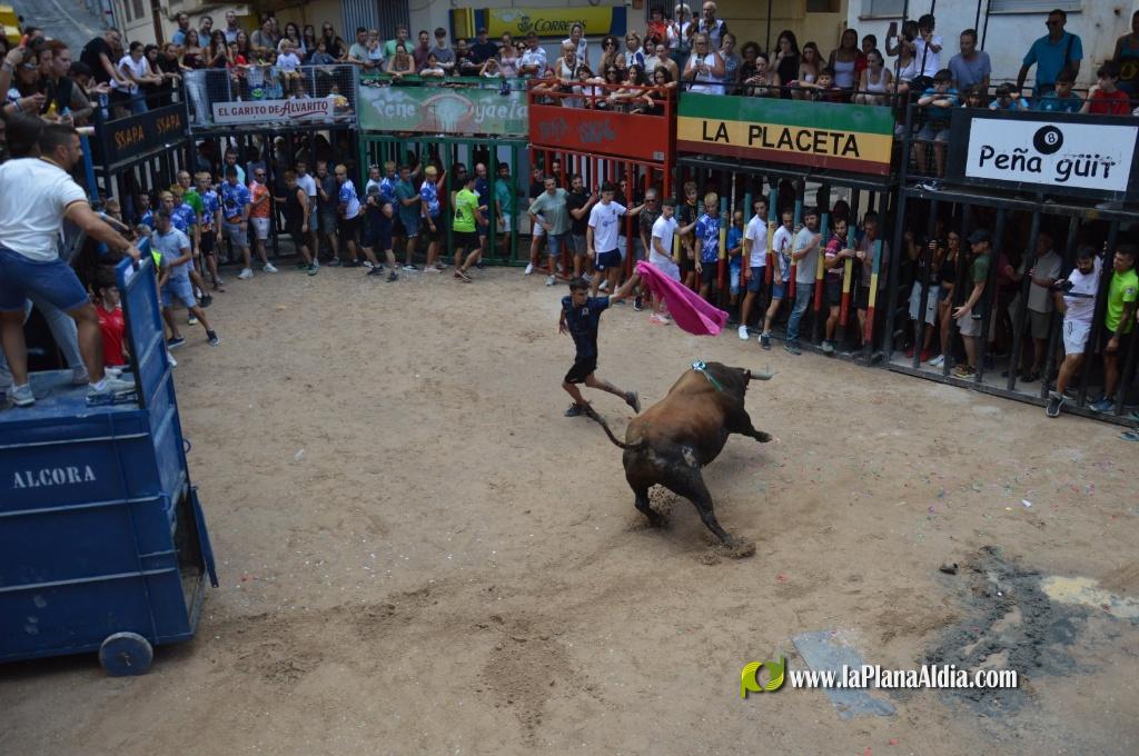 Las Pe�as Taurinas, admirable compromiso con las fiestas de Alcora