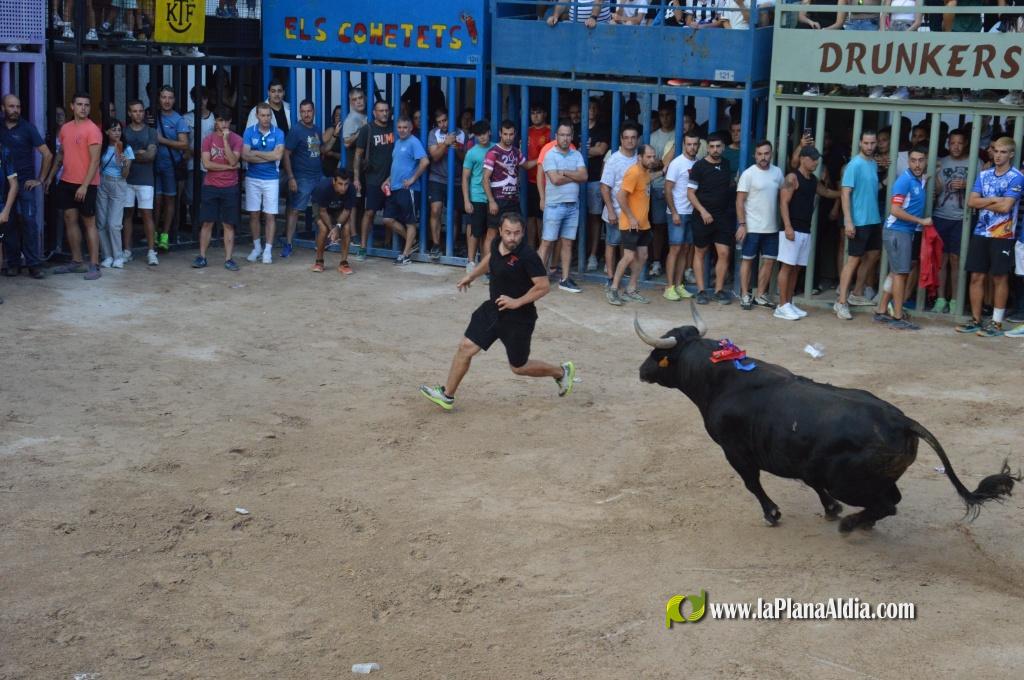 Las Pe�as Taurinas, admirable compromiso con las fiestas de Alcora