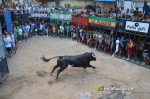 Las Pe�as Taurinas, admirable compromiso con las fiestas de Alcora