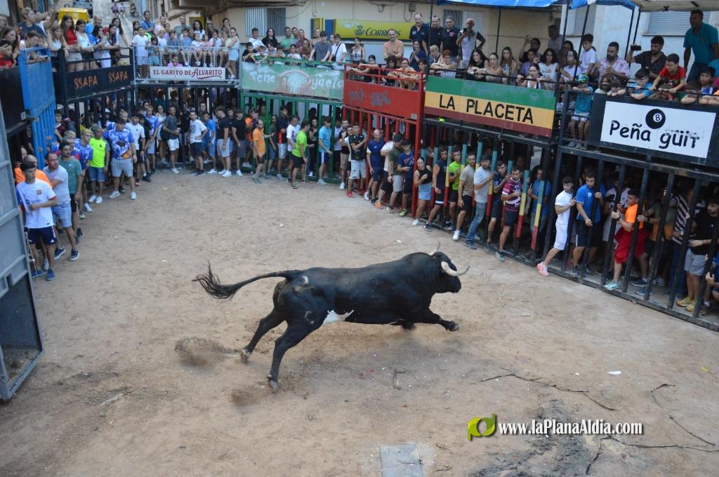 Las Pe�as Taurinas, admirable compromiso con las fiestas de Alcora