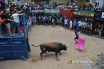 Las Pe�as Taurinas, admirable compromiso con las fiestas de Alcora