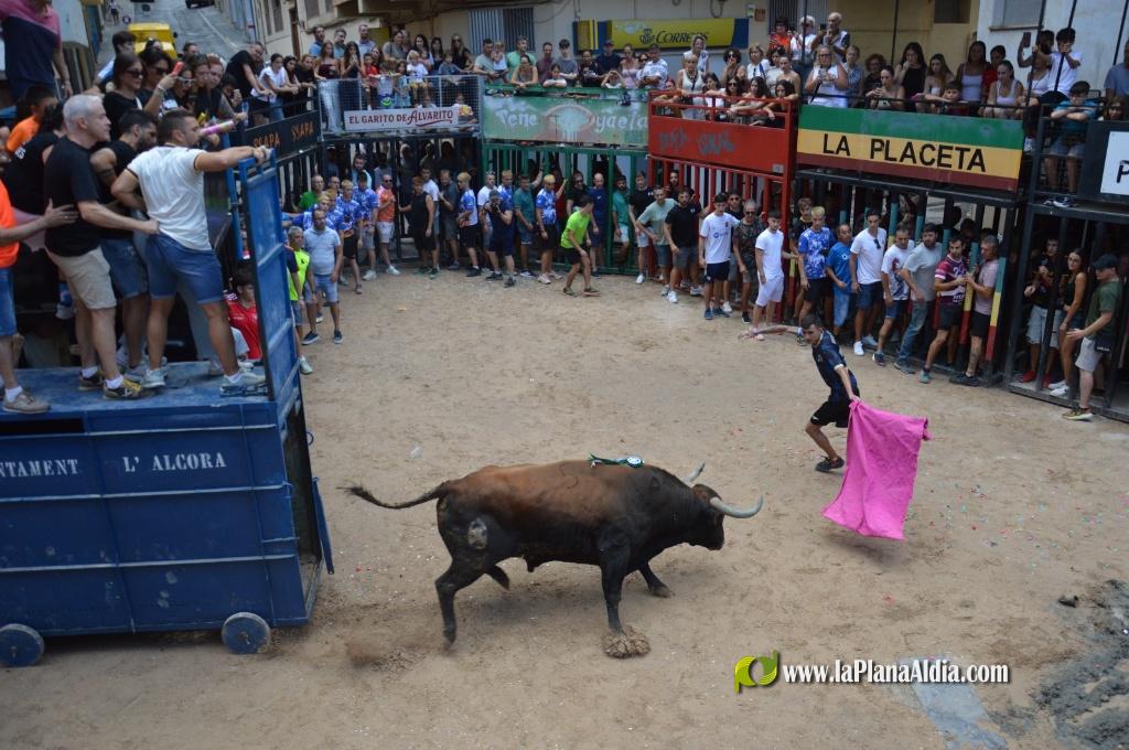 Las Pe�as Taurinas, admirable compromiso con las fiestas de Alcora