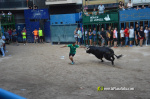 Las Pe�as Taurinas, admirable compromiso con las fiestas de Alcora