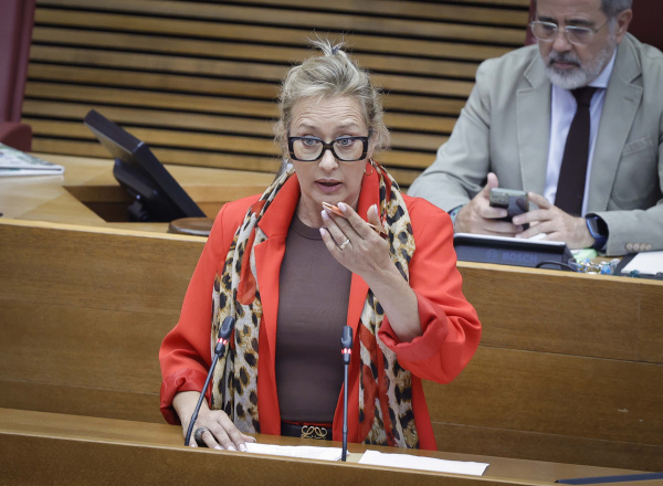 El PPCV exige explicaciones por el recorte del 70% en la seguridad del MUVI de Villena y reclama las facturas
