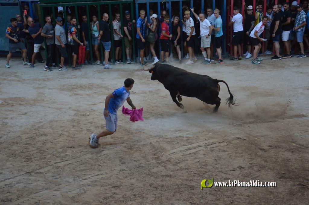 La admirable empresa Expojamar patrocin� un toro de la Jotera por su 30 aniversario