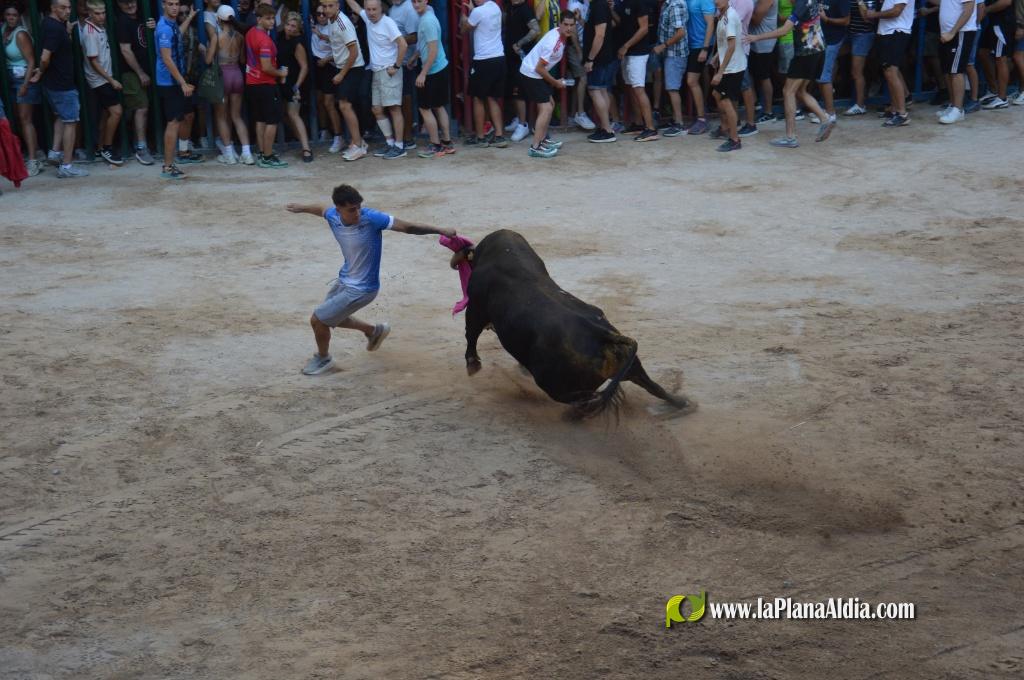 La admirable empresa Expojamar patrocin� un toro de la Jotera por su 30 aniversario