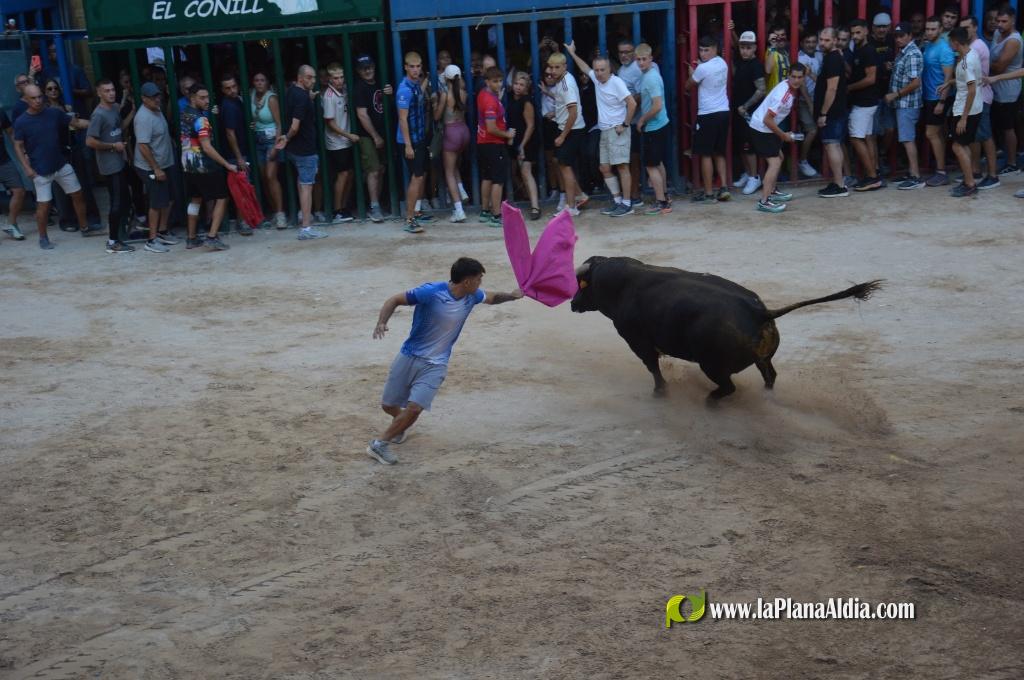 La admirable empresa Expojamar patrocin� un toro de la Jotera por su 30 aniversario