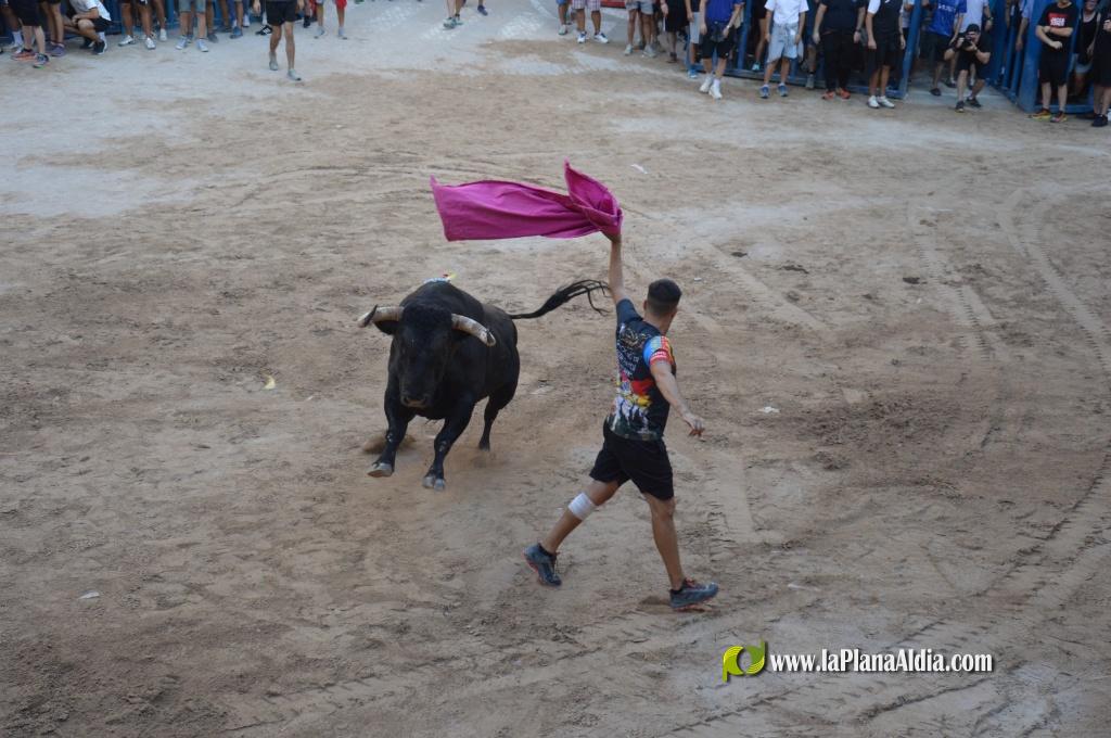 La admirable empresa Expojamar patrocin� un toro de la Jotera por su 30 aniversario