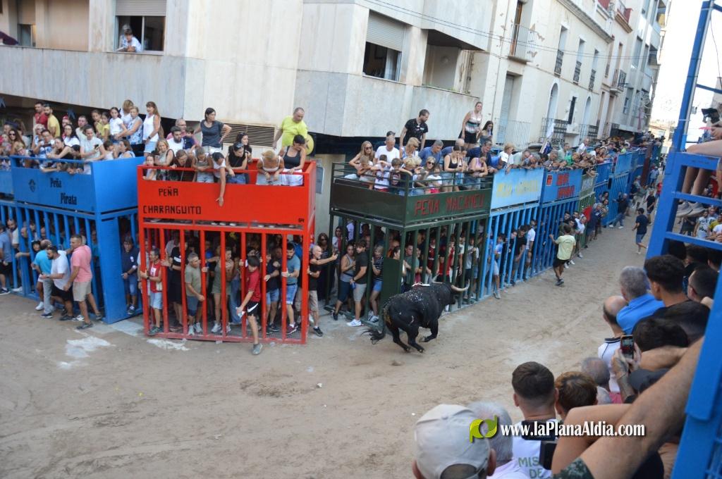 La admirable empresa Expojamar patrocin� un toro de la Jotera por su 30 aniversario