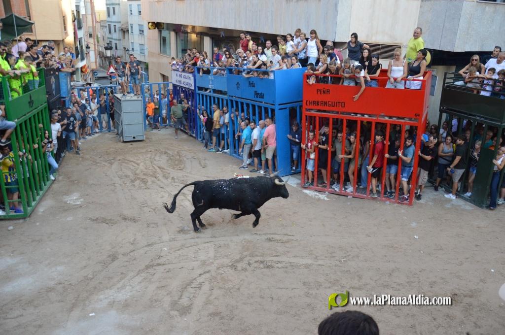 La admirable empresa Expojamar patrocin� un toro de la Jotera por su 30 aniversario