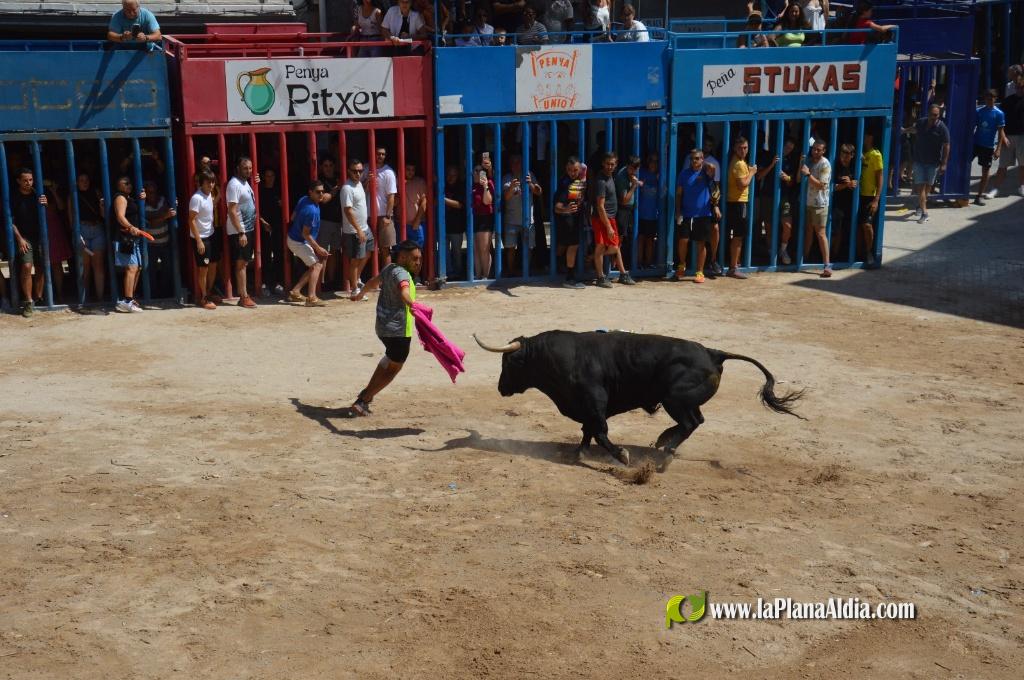 Estreno de la Pe�a Taurina Gent Blaugrana