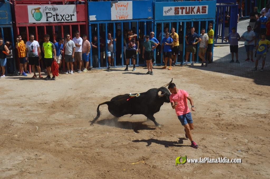 Estreno de la Pe�a Taurina Gent Blaugrana