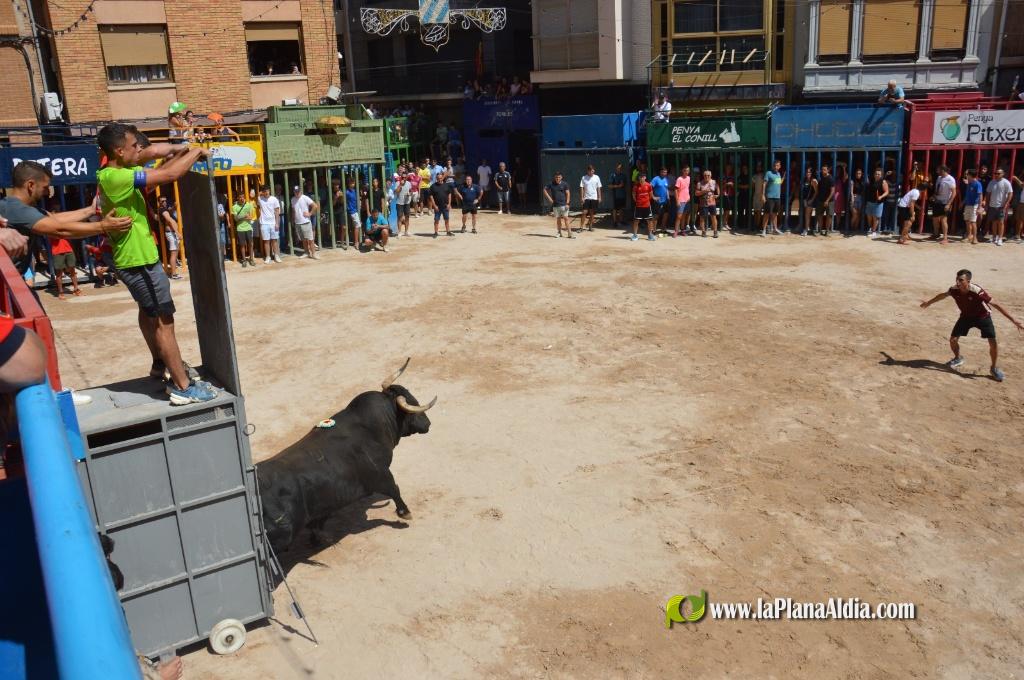 Estreno de la Pe�a Taurina Gent Blaugrana
