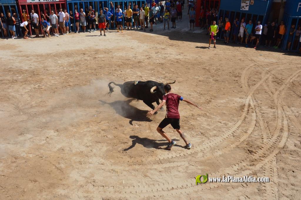 Estreno de la Pe�a Taurina Gent Blaugrana