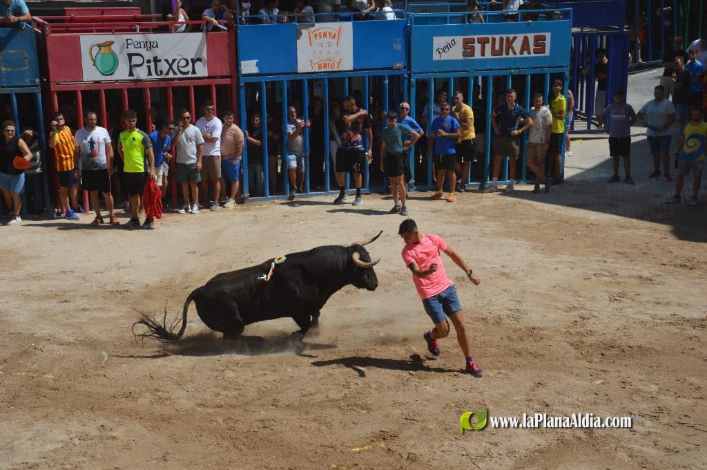 Estreno de la Pe�a Taurina Gent Blaugrana