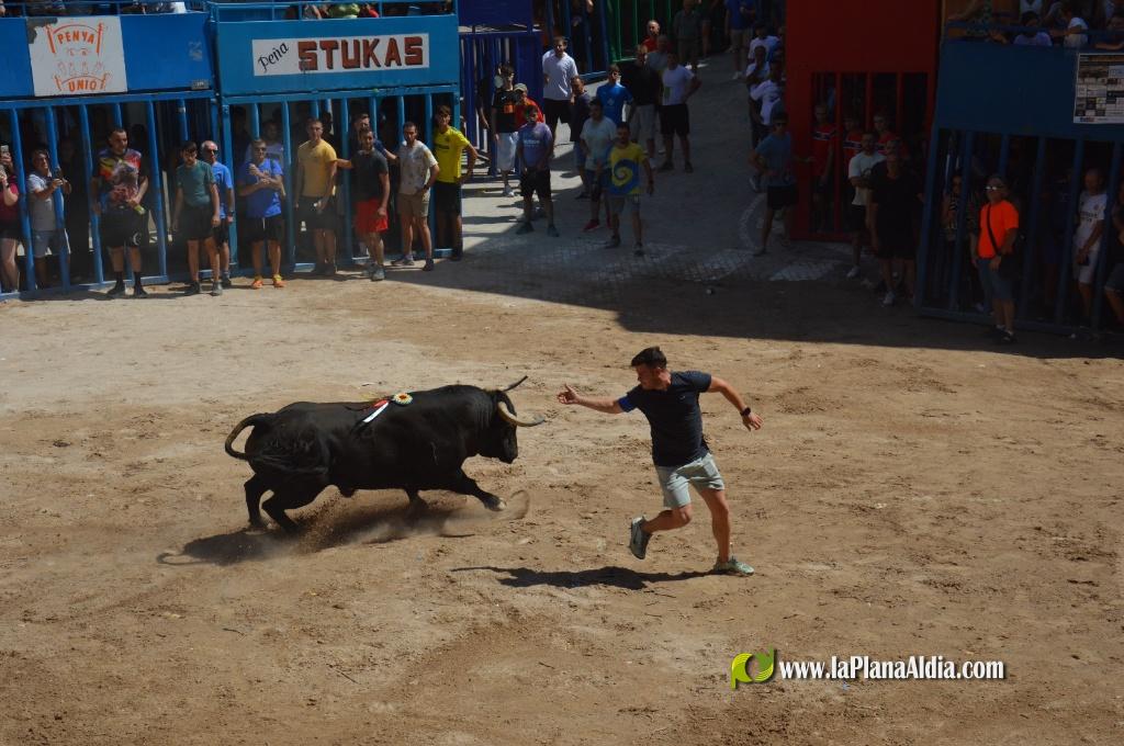 Estreno de la Pe�a Taurina Gent Blaugrana