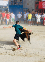 Borriana inicia la Miseric�rdia amb la sortida del bou Matayegues i 19 bous cerrils