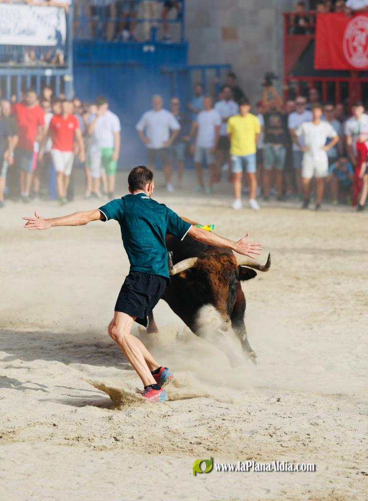 Borriana inicia la Miseric�rdia amb la sortida del bou Matayegues i 19 bous cerrils